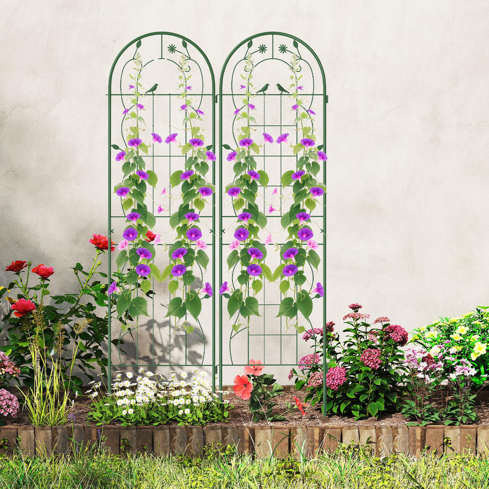 4 Pack 71 X 20 Inches Metal Ga - Plants X ulasan dan harga