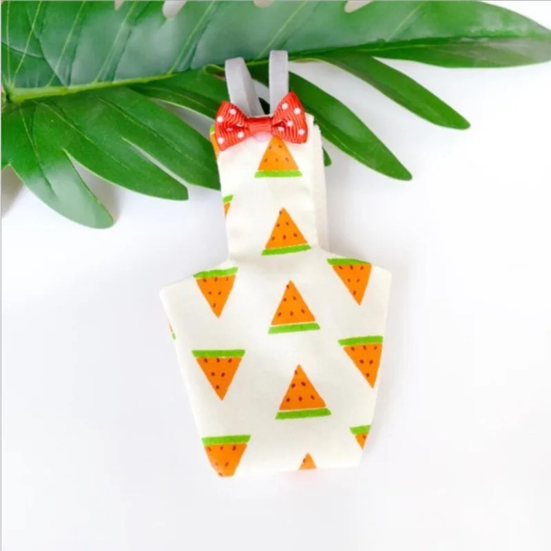 Washable Parrot Diaper Flight  - Plant Parenthood ulasan dan harga