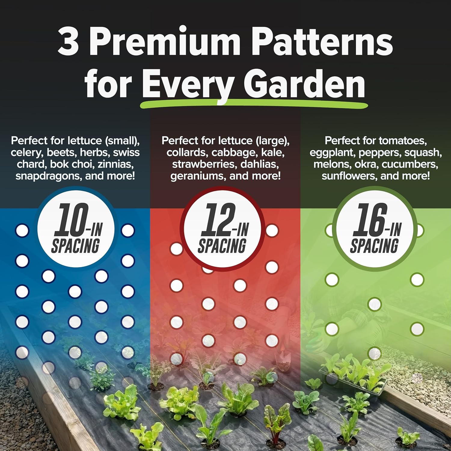 Quick-Plant   , Garden Weed Ba - Plants X ulasan dan harga