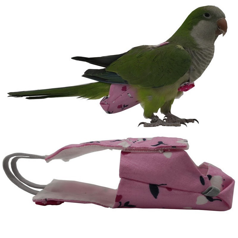 Parrot Diaper with Bowtie Cute - Plant Parenthood ulasan dan harga